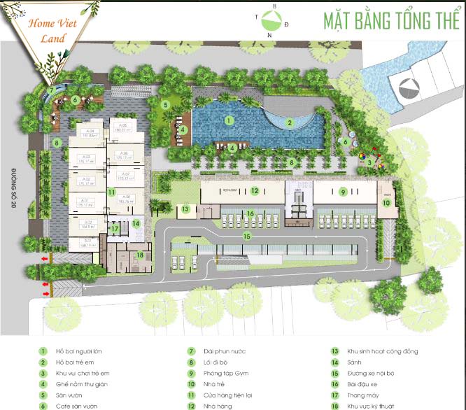Mặt bằng căn hộ Opal Boulevard Mặt bằng căn hộ Opal Boulevard